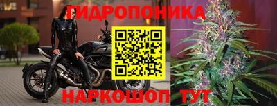 прущая мука Новодвинск