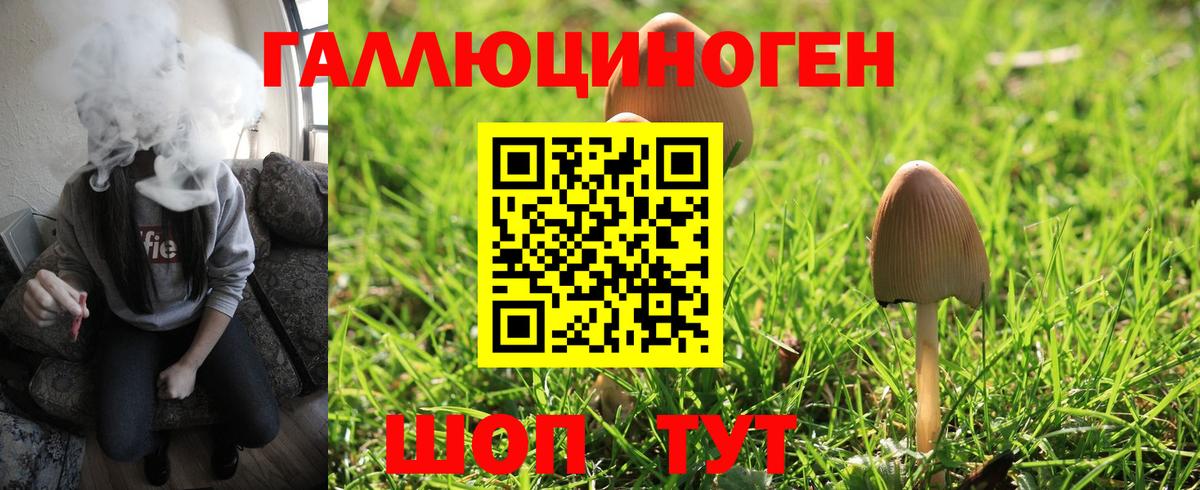 где продают наркотики  Галлюциногенные грибы Magic Shrooms  Вход с VPN  Псилоцибиновые грибы прущие грибы  Дальнереченск 
